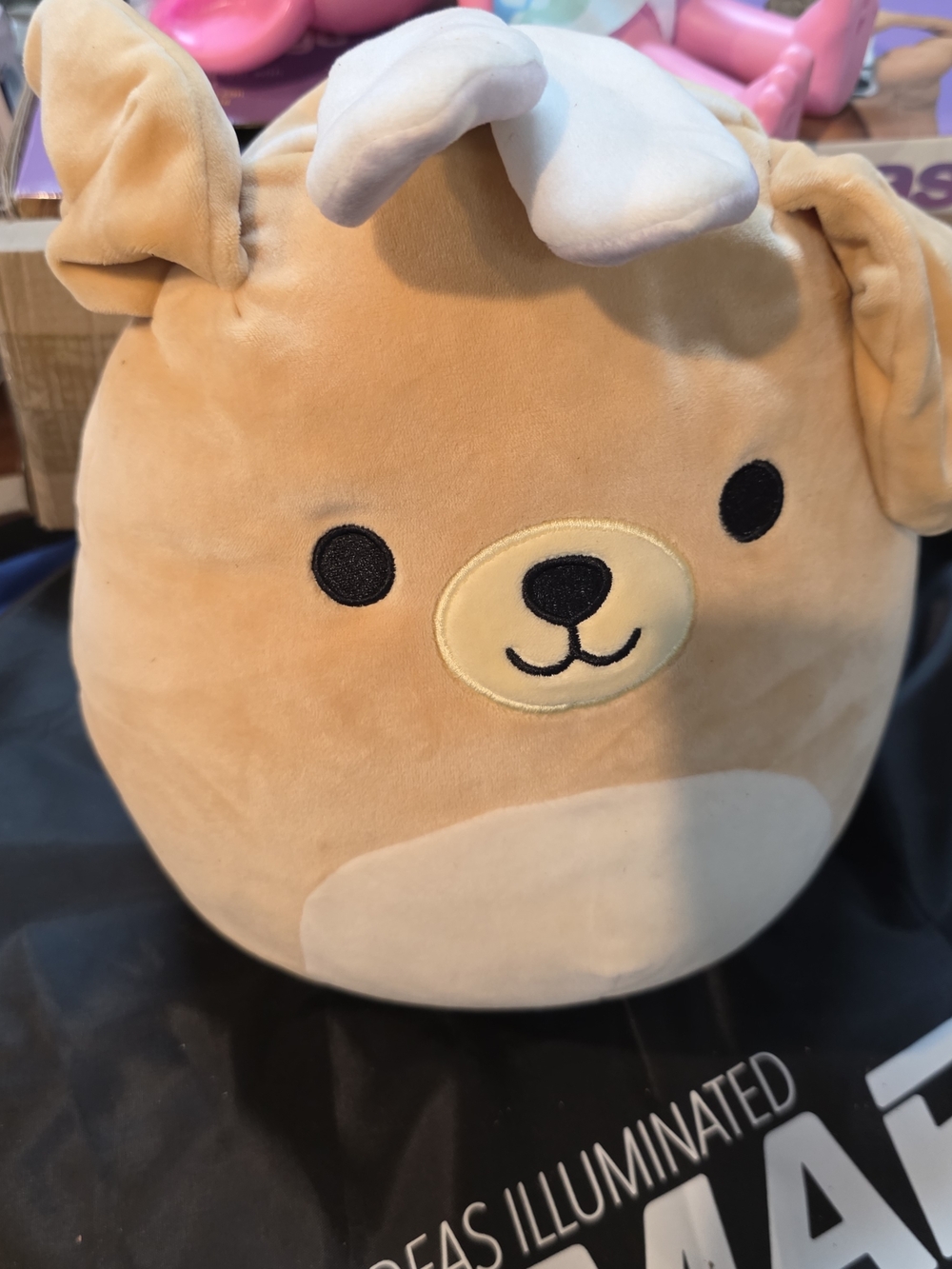 Stevon  Squishmallows Tan and White Plush Dog